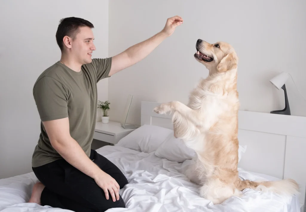 Un homme qui joue avec son chien sur un lit