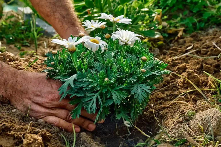 planter des fleurs dans le jardin
