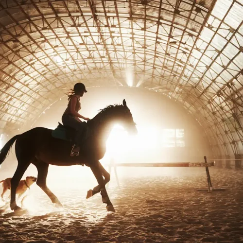 Une personne qui monte à cheval sous un abri en forme de dome
