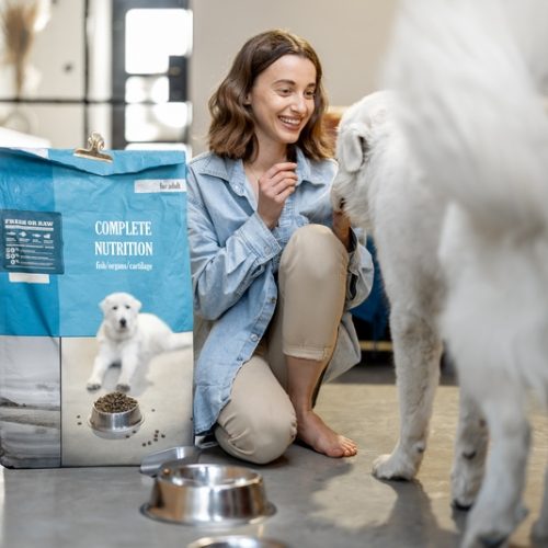 Young woman feeds her huge white dog with a dry food, sitting on the floor with a package of pet's food at home. Concept of healthy and balanced nutrition for pets